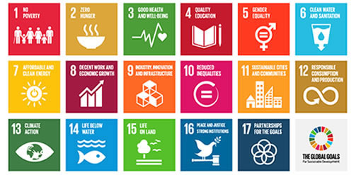 Graphics for the Sustainable Development Goals. Credit: http://www.globalgoals.org/resource-centre/the-basics/