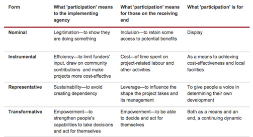 Image of the ladder of participation