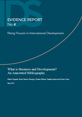 ER4 What is Business and Development? An Annotated Bibliography Image Teaser for Evidence Report 4, 'What is Business and Development? An Annotated Bibliography'