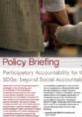 Participatory Accountability for the SDGs PB image Image of Participate Policy Brief Issue 04