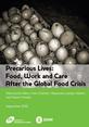 Precarious Lives Front Cover This is the front cover to 'Precarious Lives: Food, Work and Care After the Global Food Crisis'.