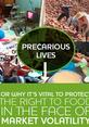 PrecariousLive_FontCover This is the cover to the report 'Precarious Lives'.