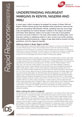 RRB10_FrontCover This is the fron cover for IDS Rapid Response Breifing 10.