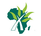 Future Agricultures logo for news, event or blog post Future Agricultures Consortium logo
