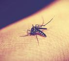 Is CRISPR the next big thing in international development?