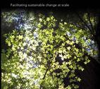 Navigating_Complexity_FrontCover This is the cover to the book 'Navigating Complexity in International Development: Facilitating sustainable change at scale.