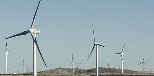 A view of a wind farm consisting of a multiitude of 1.5 MW wind turbines supplies zero-emissions renewable electricity to the North China Power Grid. Credit: Ian Teh - Panos