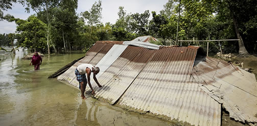 This is the image for the IDS Climate Change and Disasters Course 2017.