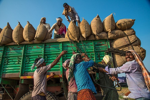 The dried chillies are packed and being loaded to send it to the spice plants for further processing at Sindhanur, Raichur district, Karnataka, India.