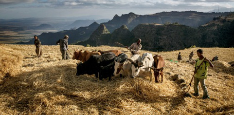 Ethiopia Tigray Province. Credit: Robin Hammond / Panos