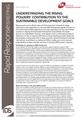 RRB9_FrontCover This is the cover to IDS Rapid Reponse Briefing 9, 'Understanding The Rising Powers' Contribution to the Sustainable Development Goals'.