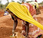 IDS Bulletin 484 This is the image for IDS Bulletin 484, 'Courting Catastrophe?
Humanitarian Policy and Practice in a Changing Climate'.