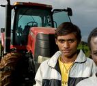 Agribusiness in Africa ETHIOPIA Bako (Baco) An Indian worker and his Ethiopian colleague stand in front of a tractor on a farm owned by Indian agribusiness company, Kanturi Global Limited. All the farm's heavy plant has been imported from America. The company owns farms in Kenya and Ethiopia where they produce crops, especially flowers, for export. The acquisition of large tracts of land in Ethiopia is a prelude to a move into more general agricultural production. The heavy plant has all been imported from the
Credit: Petterik Wiggers / Panos