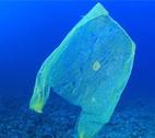 Plastic ocean pollution Plastic bag floating in the ocean