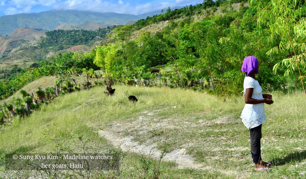Madeline watches her livestock in Haiti