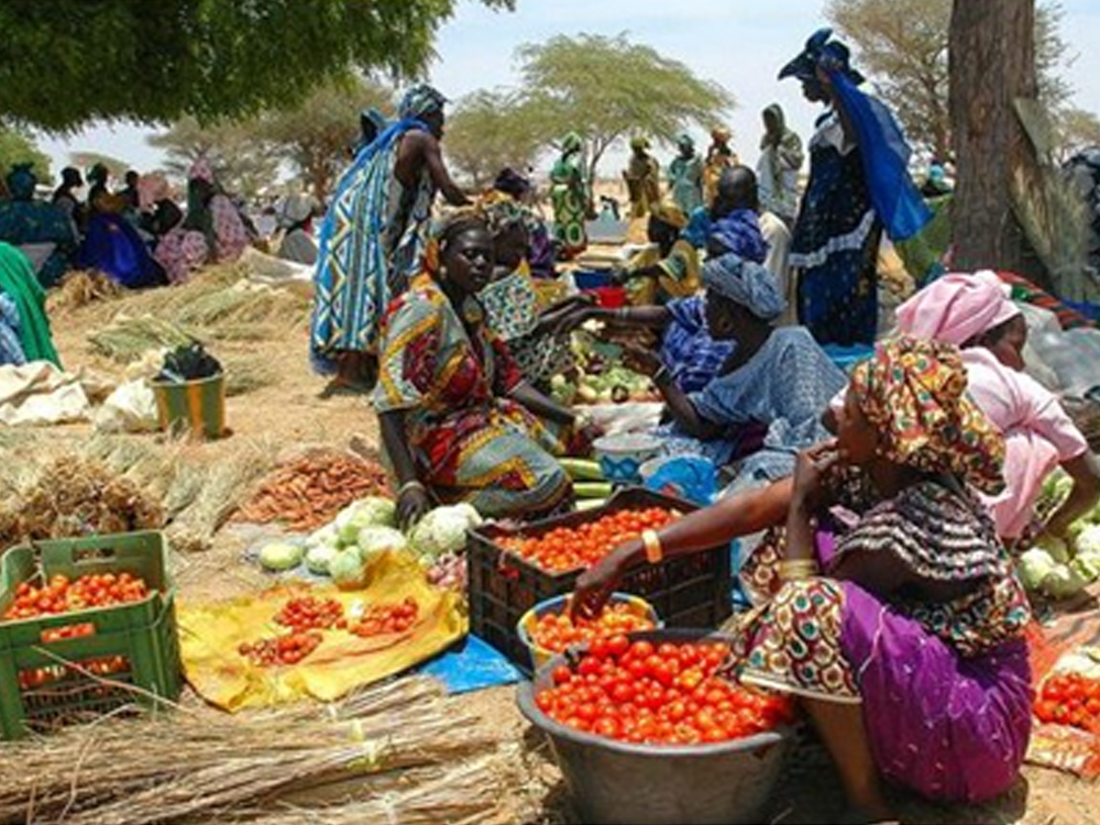 Women (main work force in agriculture) gathering during weekly rural market in Senegal