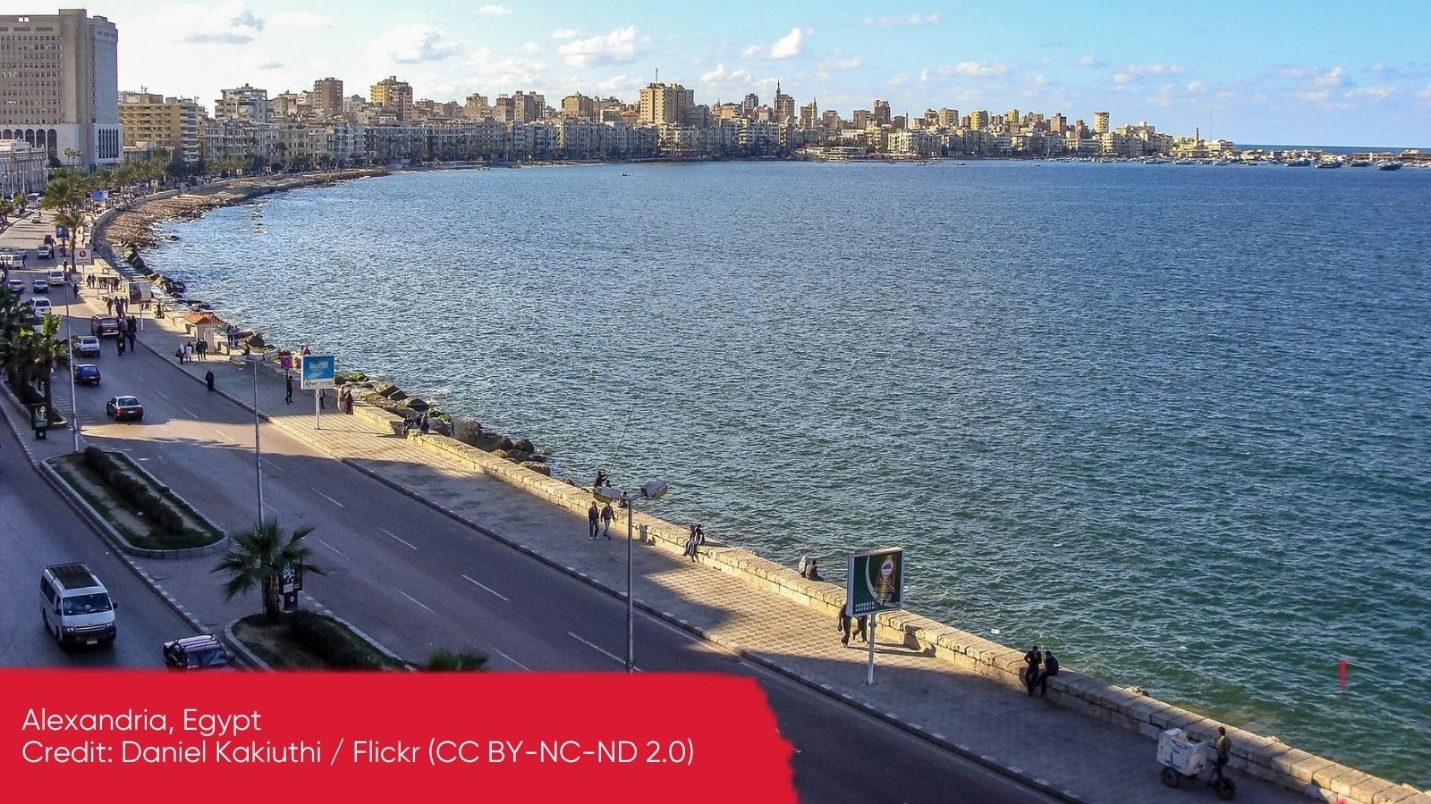 A sweeping view of the city of Alexandria surrounded by sea