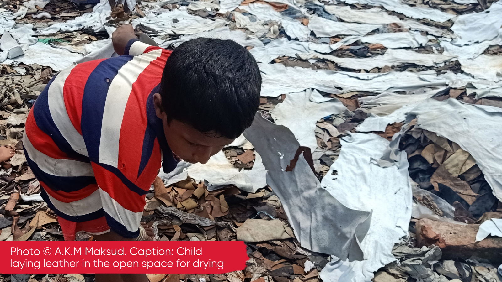 Children are laying leather in the open space for drying