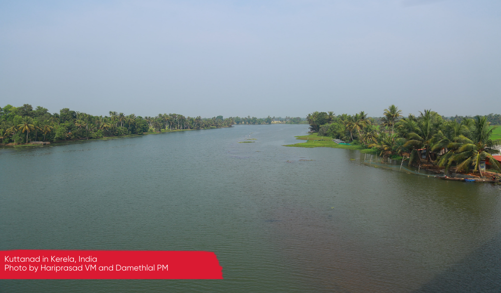 A large water way in Kuttanad, Kerala