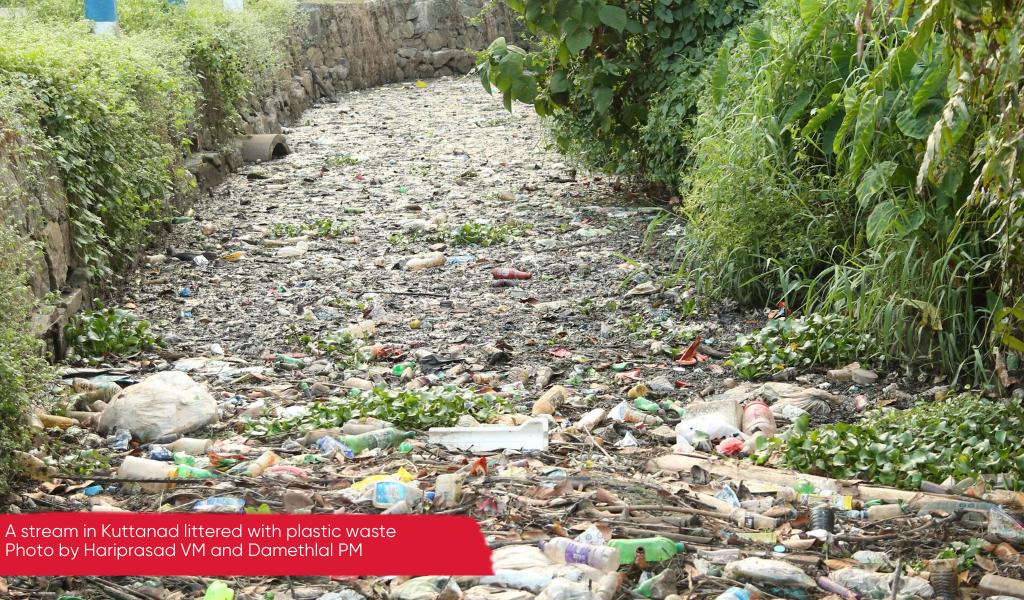 A stream littered with plastic waste, Kuttanad