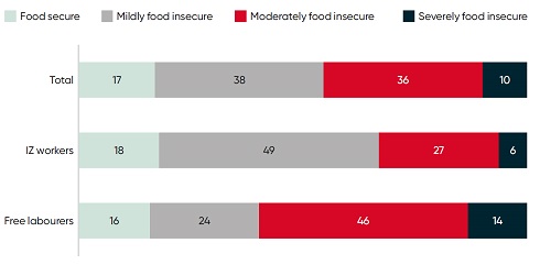 Food security of IZ workers and free labourers across four categories, expressed as a percentage of interviewees. IZ labourers were 18% food secure, 49% mildly food insecure, 27% moderately food insecure, and 6% severely food insecure. Free laborers were 16% food secure, 24% mildly food insecure, 46% moderately food insecure, and 14% severely food insecure.