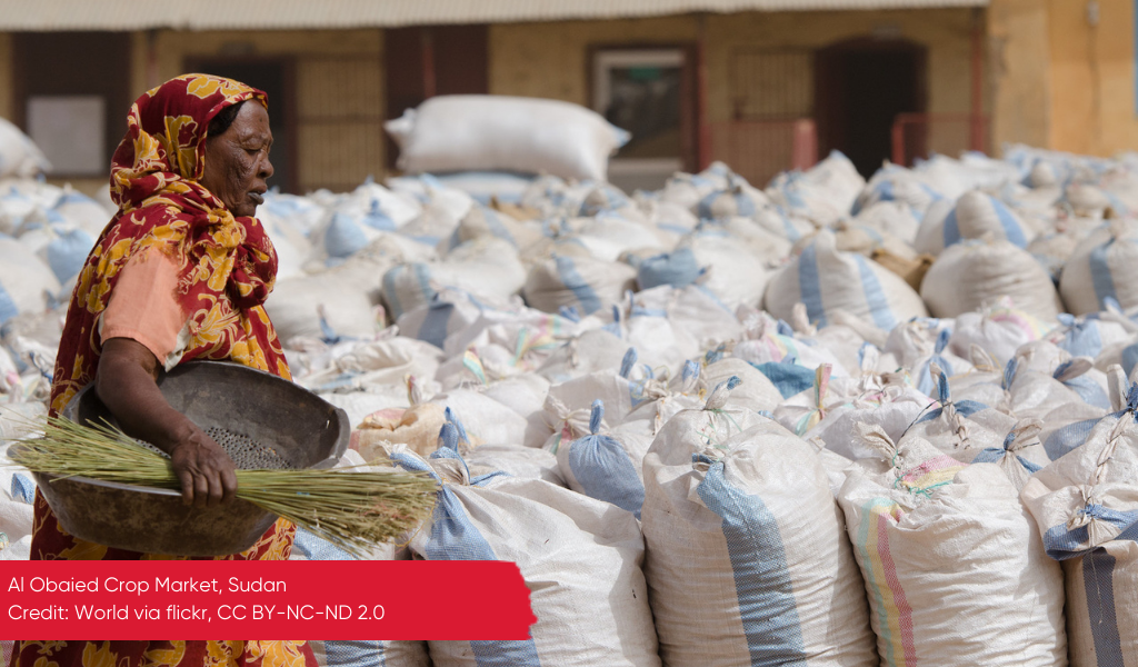 A woman carrying crops in Al Obaied market, Sudan 