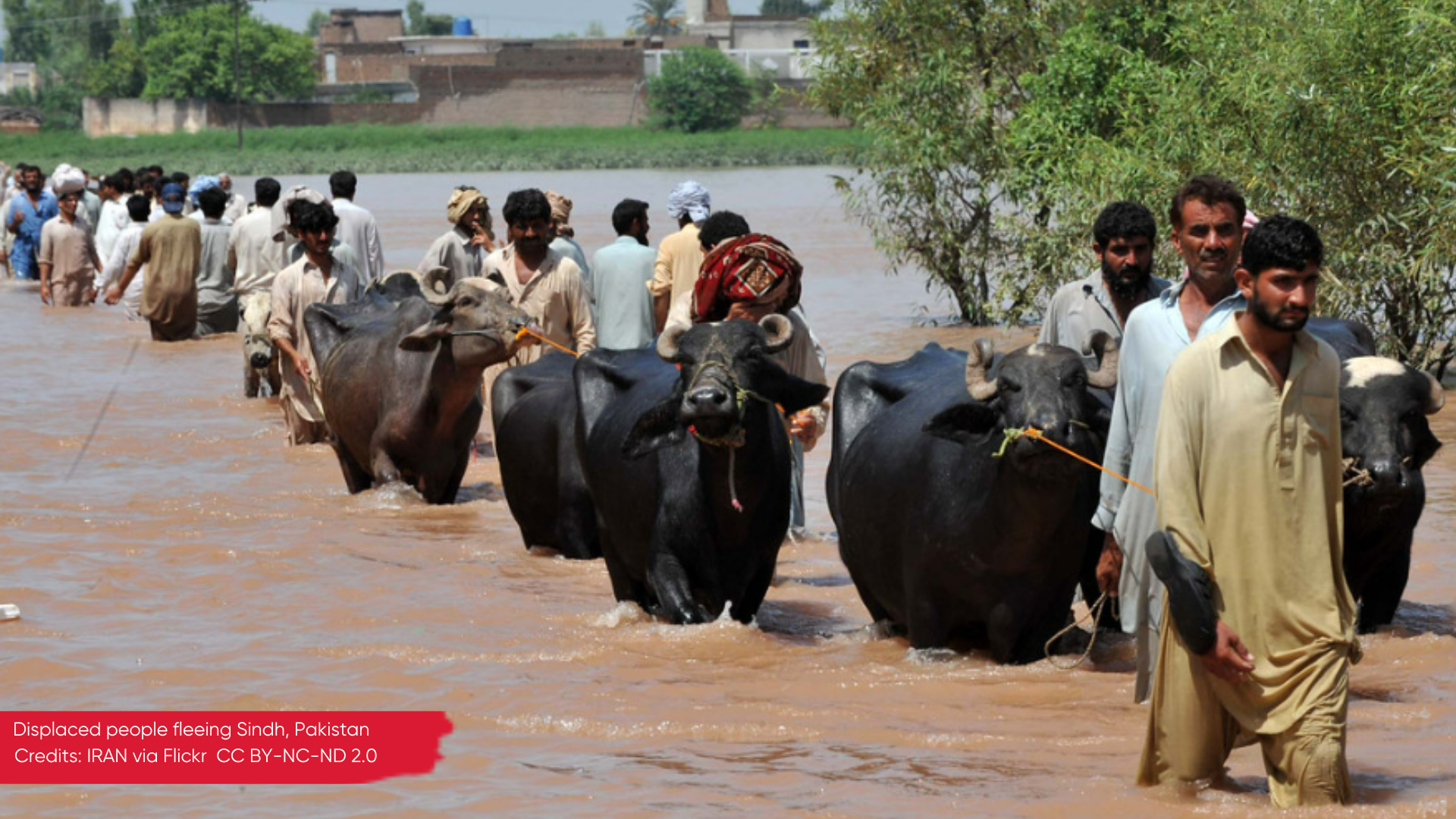 Displaced people leaving their flooded homes in Pakistan