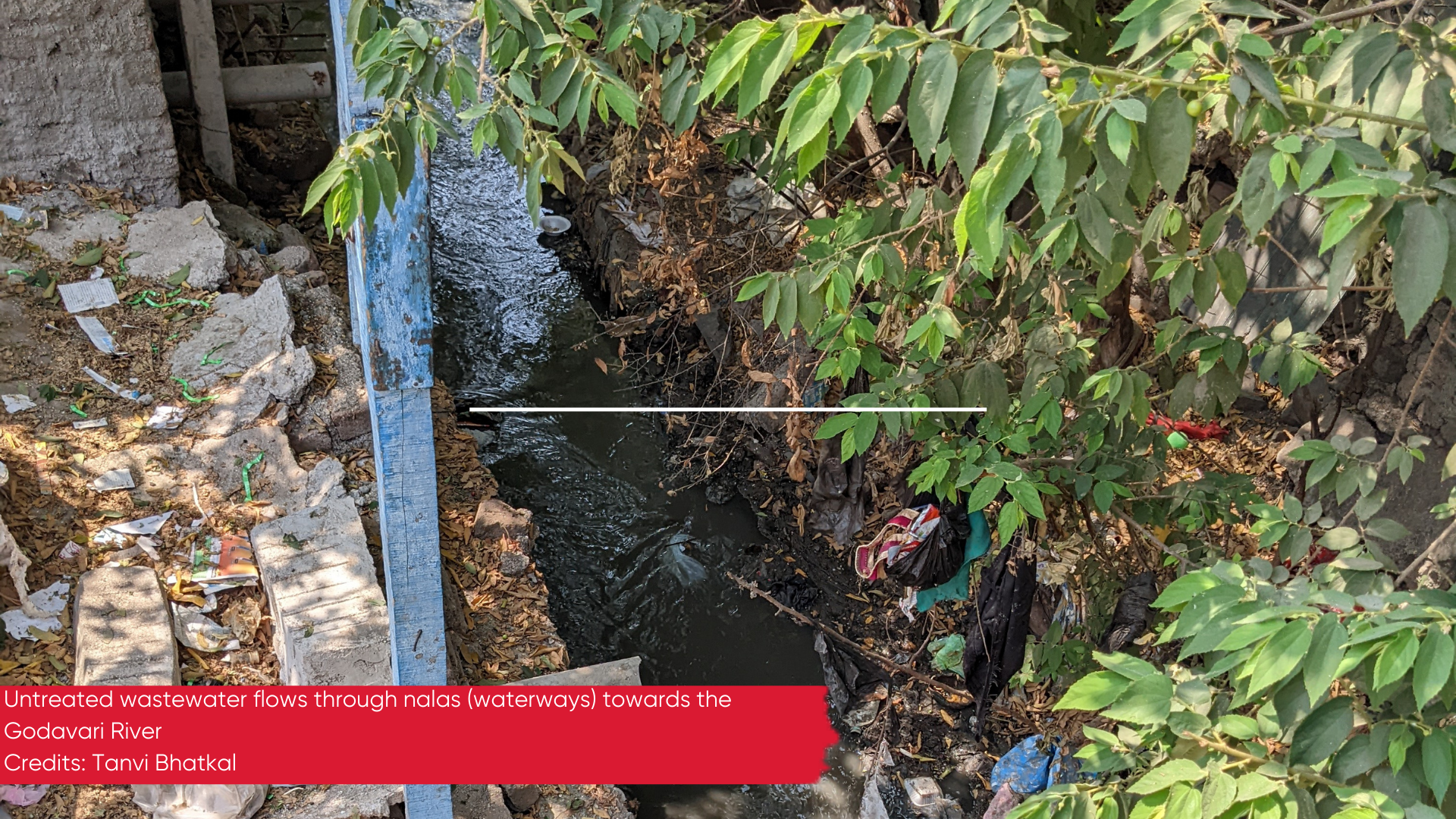 Untreated wastewater flowing through nala towards the Godavari River 