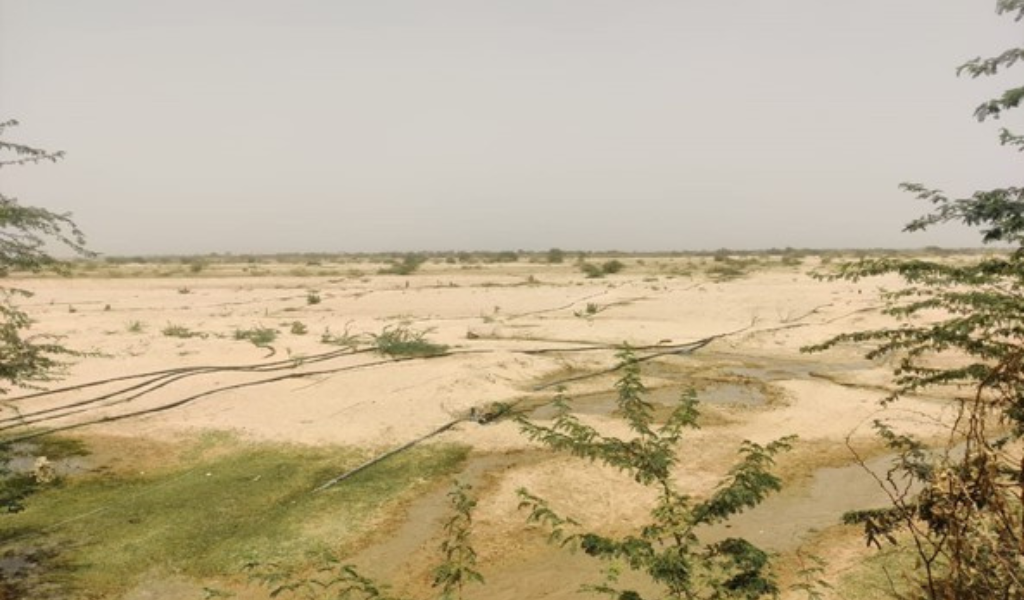 The dry riverbed of the Banas river during the summer of 2022