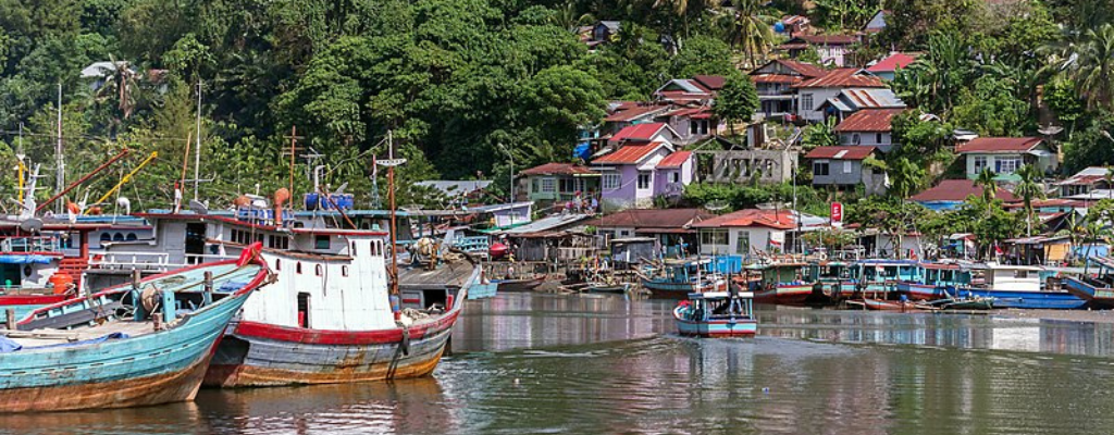 Boats on the water against a backdrop of trees, with some houses at the water's edge.