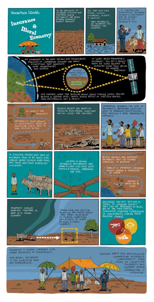Insurance and moral economy: Insurance is increasingly offered to pastoralists as a way to protect against loss from droughts, floods and other hazards. But pastoralists also draw on older practices of mobility, sharing and moral economy.