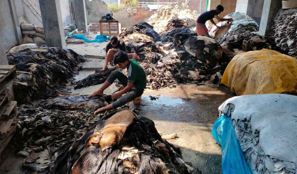 Piles of dark coloured goat skins on a concrete floor with 3 children working on the hides.