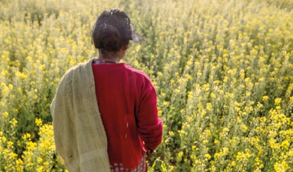A woman, dressed in red, walking away from the camera through a sunlit field of yellow flowers