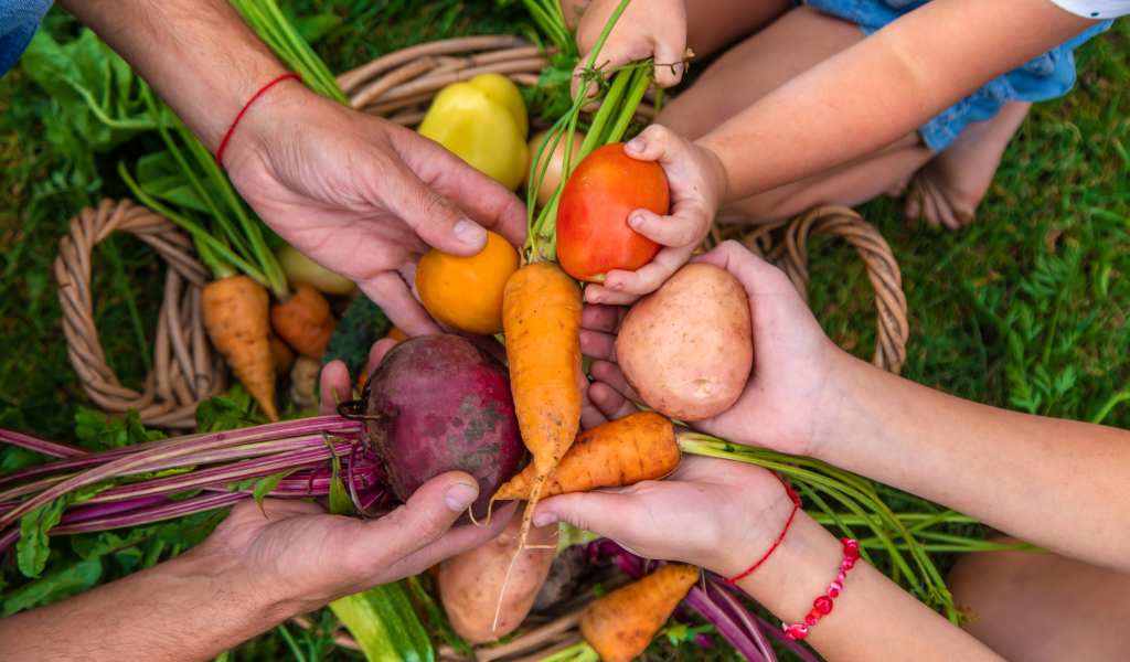 Five different hands stretched out holding colourful vegetables like carrots and beetroot in the centre of the image.
