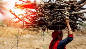 Southasian women carrying a large pile of firewood on her head