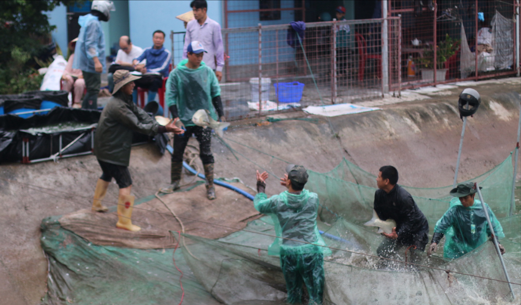Men wearing blue color plastics in water catching fish