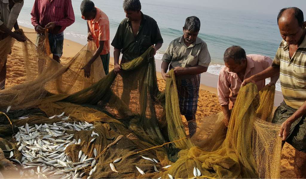 Seven men standing on a beach holding up edges of a large fishing net, filled with small fish. A calm ocean can be seen behind them. 