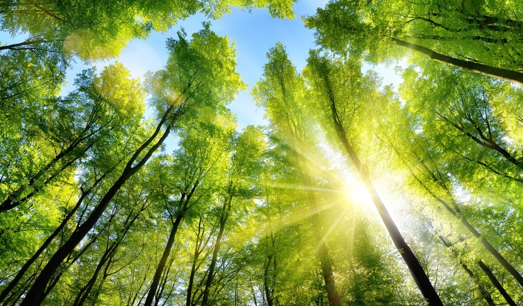 IDS celebrates global accessibility awareness day