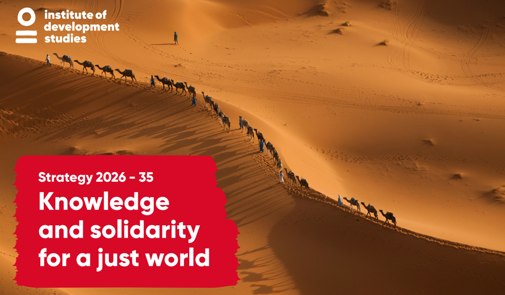 Aerial photo of a line of camels walking through the desert, with long shadows. Text at the bottom left says, "IDS Strategy 2026-35: Knowledge and solidarity for a just world"