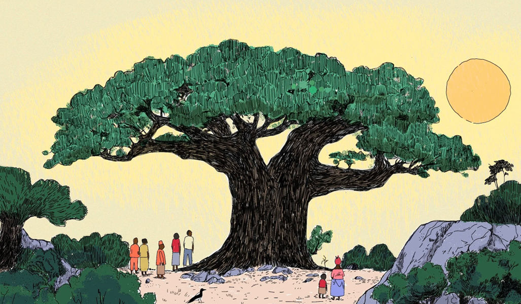 Podcast: Climate resilience and poverty reduction in Africa