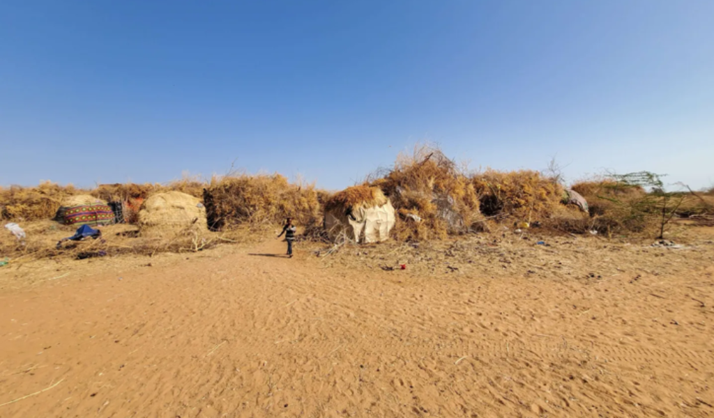 A wide shot of sand covered land with small round dwellings built within dry shrubs. Blue sky above.