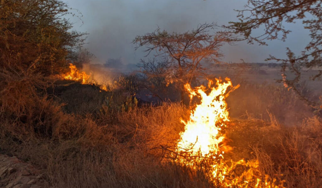 This is a photo of a fire in grassland.