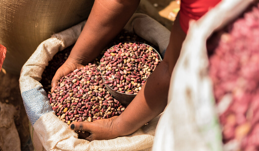 Fulfilling the Rights to Food and Nutrition through Equity-driven Evidence: A Case Study of the Union Against Hunger in South Africa